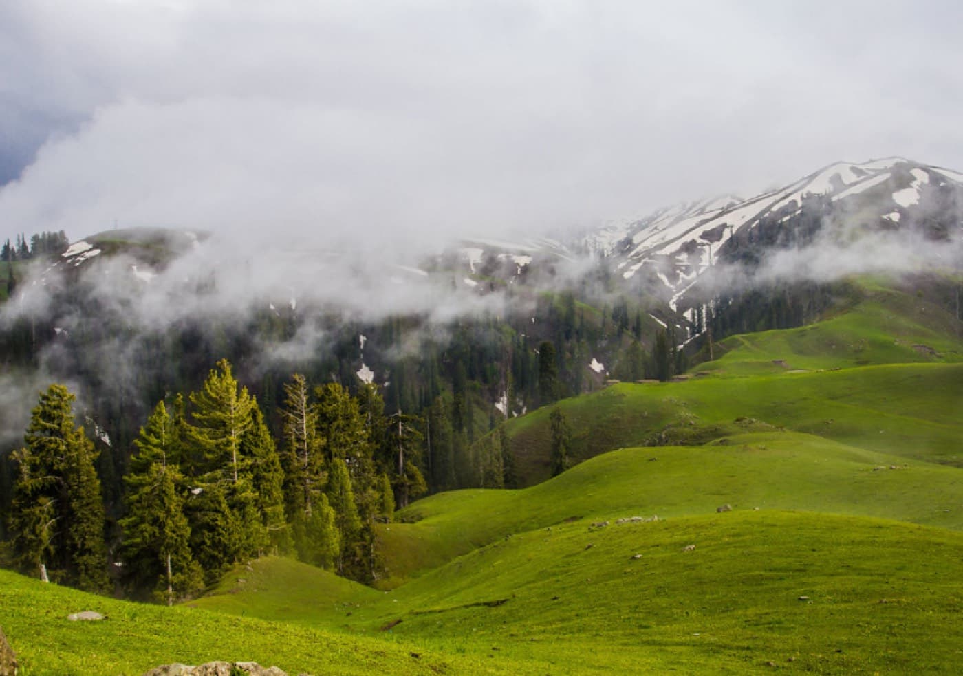 From the IBEX Instagram collection, photograph 1