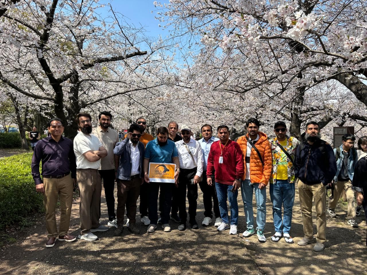 An IBEX group in a cherry blossom park in Japan